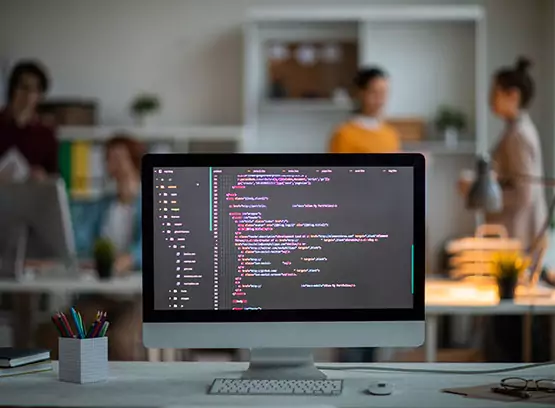 Website Development